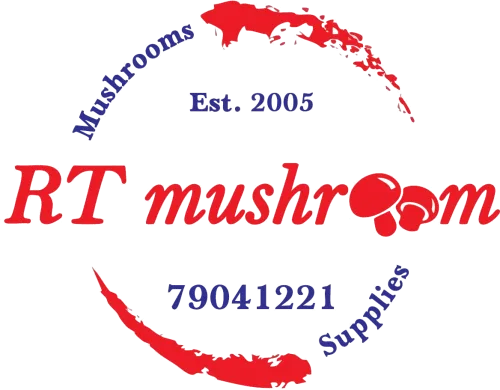 RT Mushroom